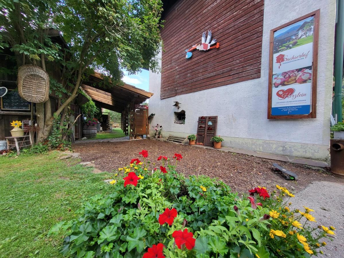 Sachserhof Ferienwohnungen In Sachsenburg Kültér fotó