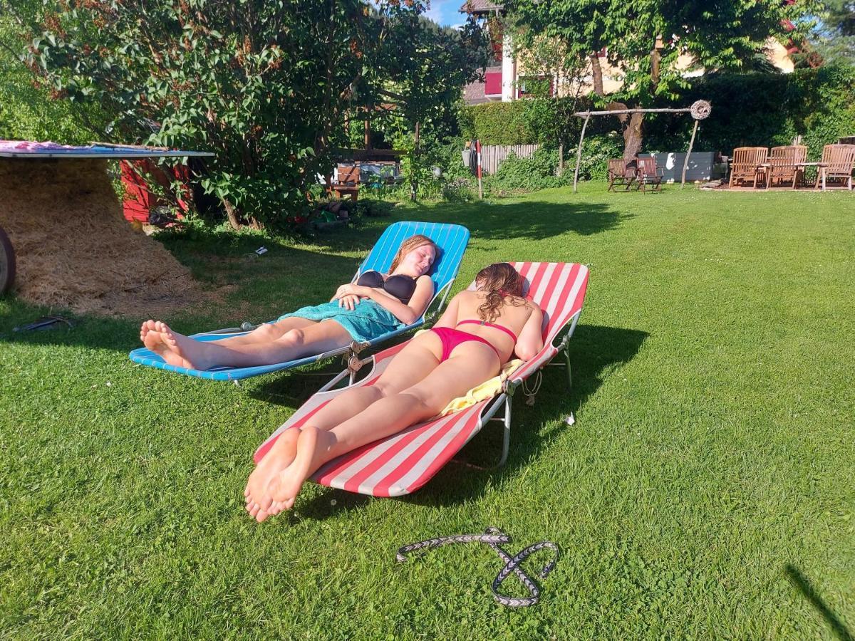 Sachserhof Ferienwohnungen In Sachsenburg Kültér fotó