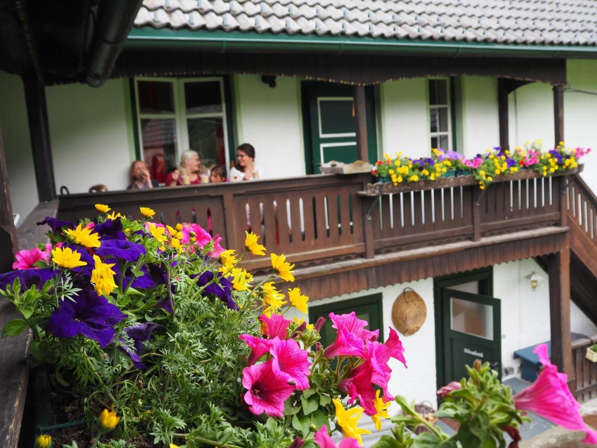 Sachserhof Ferienwohnungen In Sachsenburg Kültér fotó