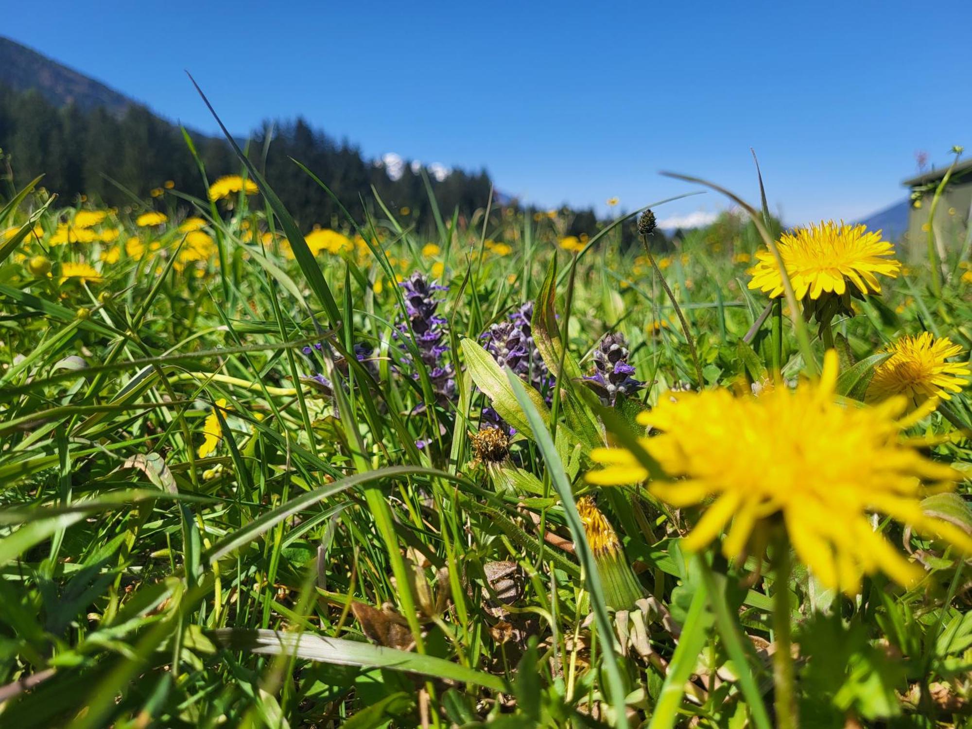 Sachserhof Ferienwohnungen In Sachsenburg Kültér fotó