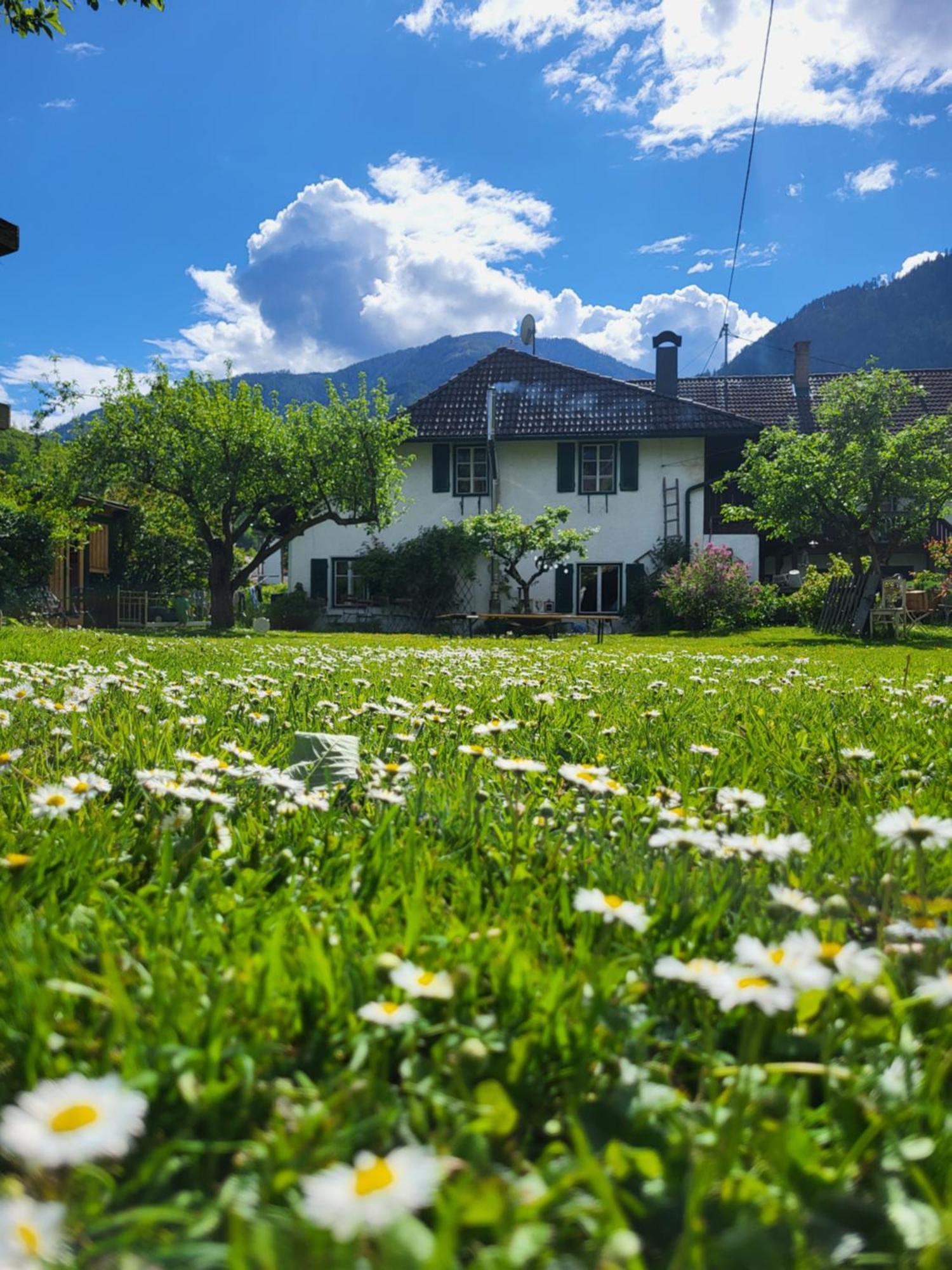Sachserhof Ferienwohnungen In Sachsenburg Kültér fotó